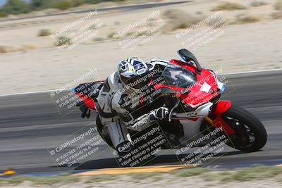 media/Mar-10-2024-SoCal Trackdays (Sun) [[6228d7c590]]/12-Turn 14 Inside (145pm)/